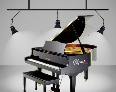 Yamaha Grand C1