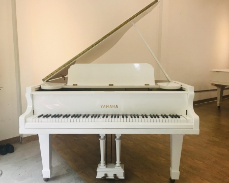 Đàn Yamaha Grand Piano G3 White