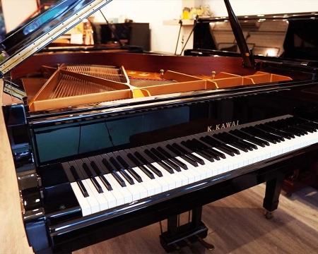 Kawai GX-5