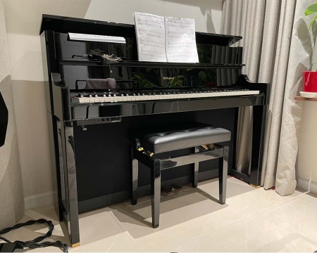 Đàn Piano Điện Roland LX-17